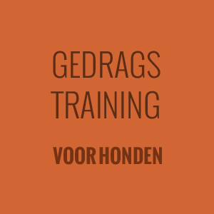 Gedragstraining voor honden